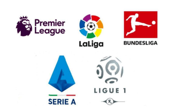 鲜明对比的 鲜明对比的